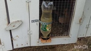 Поилка для кроликов своими руками  из пластиковой бутылки и баночки из под Шпрот.