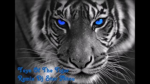 Eye Of The Tiger [Remixed By Dj Star Nitou] 2016 смотреть онлайн