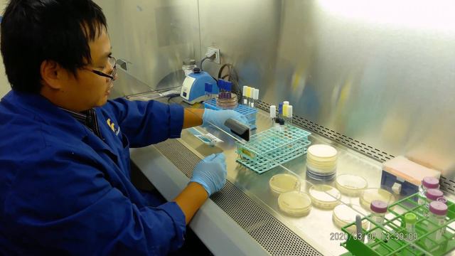 Lab 10 11 Biochemistry test 1 10152020 смотреть онлайн