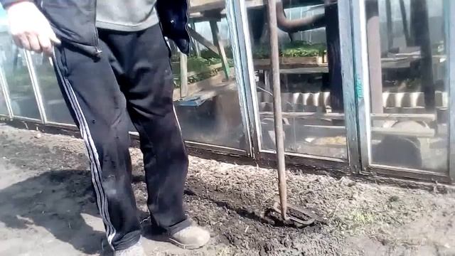 Сеем(ПУК)-петрушку , укроп и кинзу смотреть онлайн