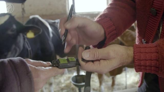 Early warning system for earthquakes? смотреть онлайн