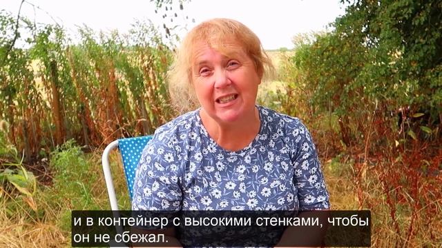 Почему и как спасают ежиков в Англии. смотреть онлайн