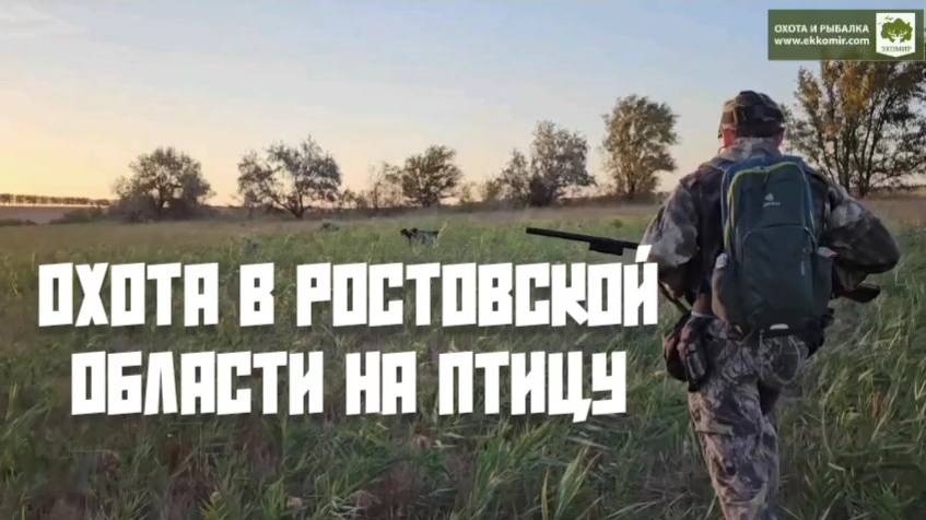 Охота в Ростовской с легавыми на птицу смотреть онлайн