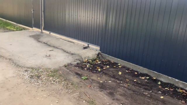 ДОМА В КРАСНОДАРЕ без первоначального взноса. Купить в ипотеку. Выгодно вложить. Дома на юге смотреть онлайн