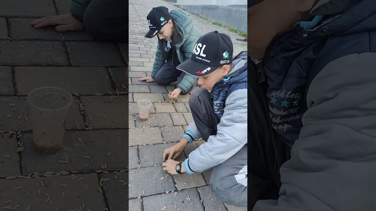 Дезертиры на рыбалке. У всех рыбаков бывало такое? #опарыш #набережная #орел #прикол #смешно #топ смотреть онлайн