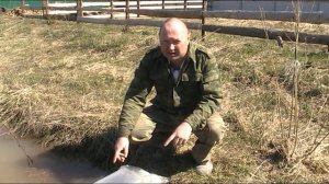ЗАПУСТИЛ ВЬЮНА В СВОЙ ПРУД! ДОСТОИНСТВА И НЕДОСТАТКИ ДАННОЙ РЫБКИ!