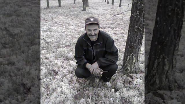 коллегам посвящается смотреть онлайн