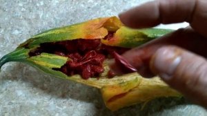 Трихозант лекарственное растение .