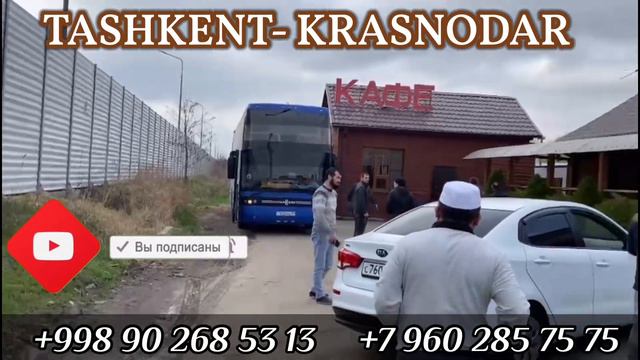 Ташкент Краснодар автобус #ташкент #краснодар #автобус смотреть онлайн