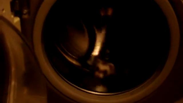 Хомяк в колесе смотреть онлайн