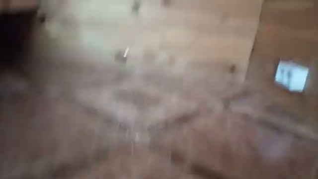 25 мая 2023 г. смотреть онлайн