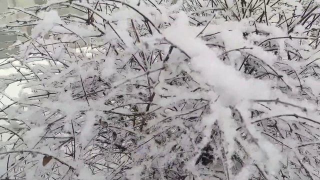 Сибирская Сказка смотреть онлайн