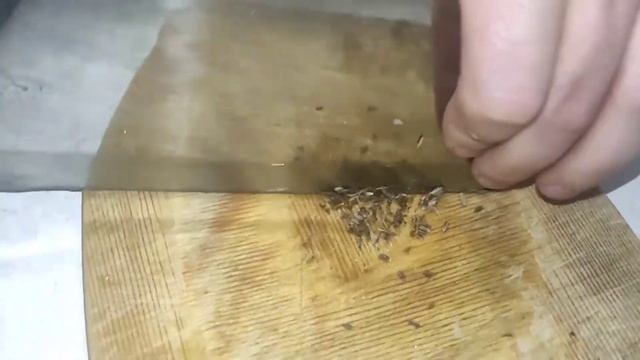 Томленая баранья шеяНежнейшая шея барашка в казане