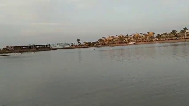 Хургада Desert rose 2020 смотреть онлайн