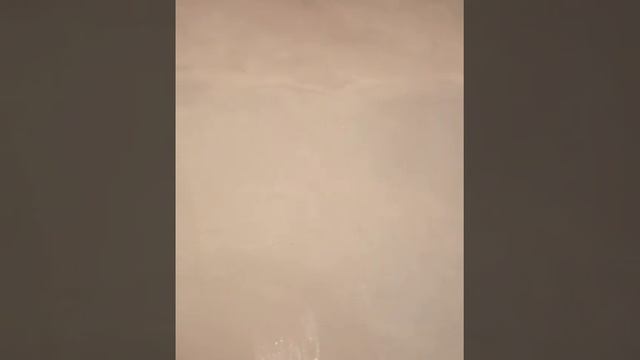 наливной пол после черновой стяжки