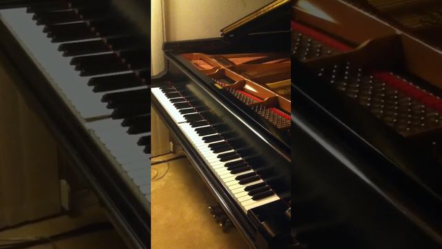 Scarlatti on the LX using the new Tascam IM2 mic смотреть онлайн