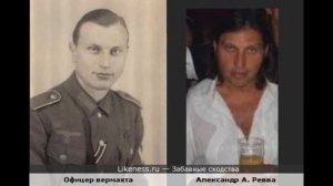Забавные сходства