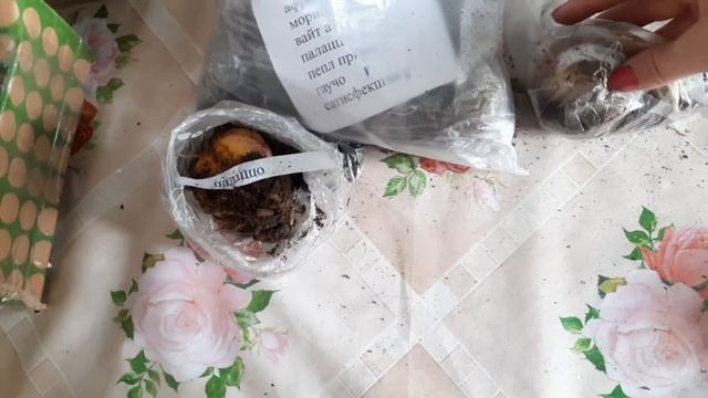 ДАВАЙТЕ ПРОВЕДЁМ ЭТОТ ДЕНЬ ВМЕСТЕ. ОТЧЁТ ЗА НЕДЕЛЮ. ПРИГЛАШАЮ В ГОСТИ. смотреть онлайн