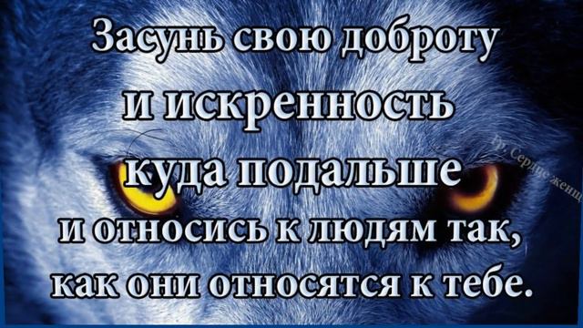 Жизнь учит - Жить! смотреть онлайн