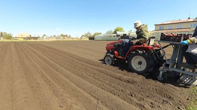 Посадка картофеля 2023 смотреть онлайн