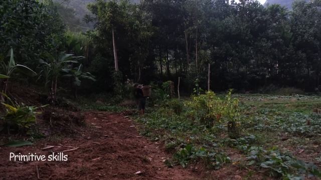 Duong Harvesting Chili, Growing Sugarcane And Animal Care