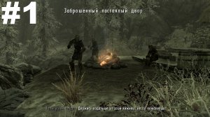 ▶The Elder Scrolls V: Skyrim. Подопытный. Новый источник сталгрима. #1