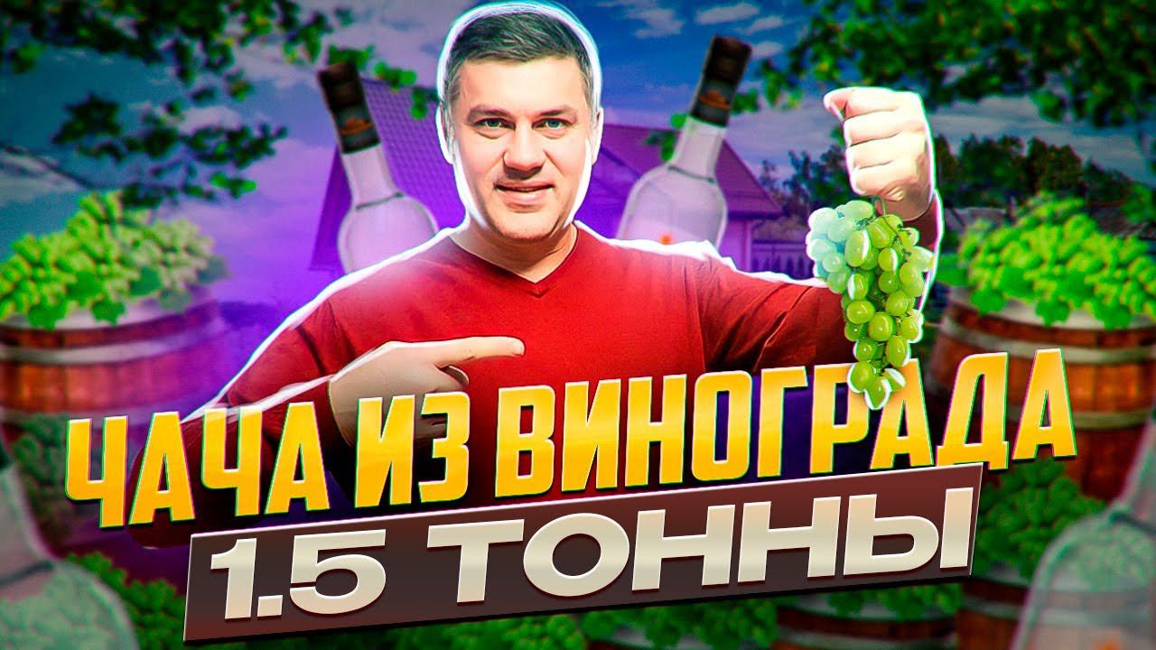 Чача из винограда КИШМИШ смотреть онлайн