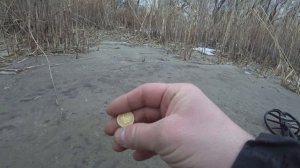 По дикому пляжу с Nokta Simplex. Тест золотой монеты.