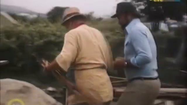 Music Video Az elvarázsolt dollár - Csöpi a vezérünk смотреть онлайн