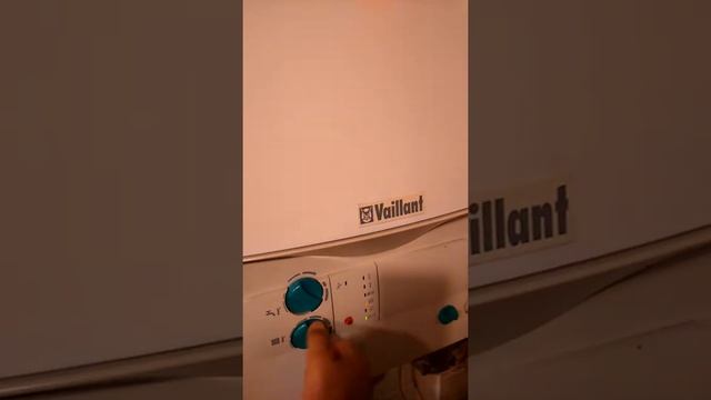 Vaillant 242/2-3 De Vanzare