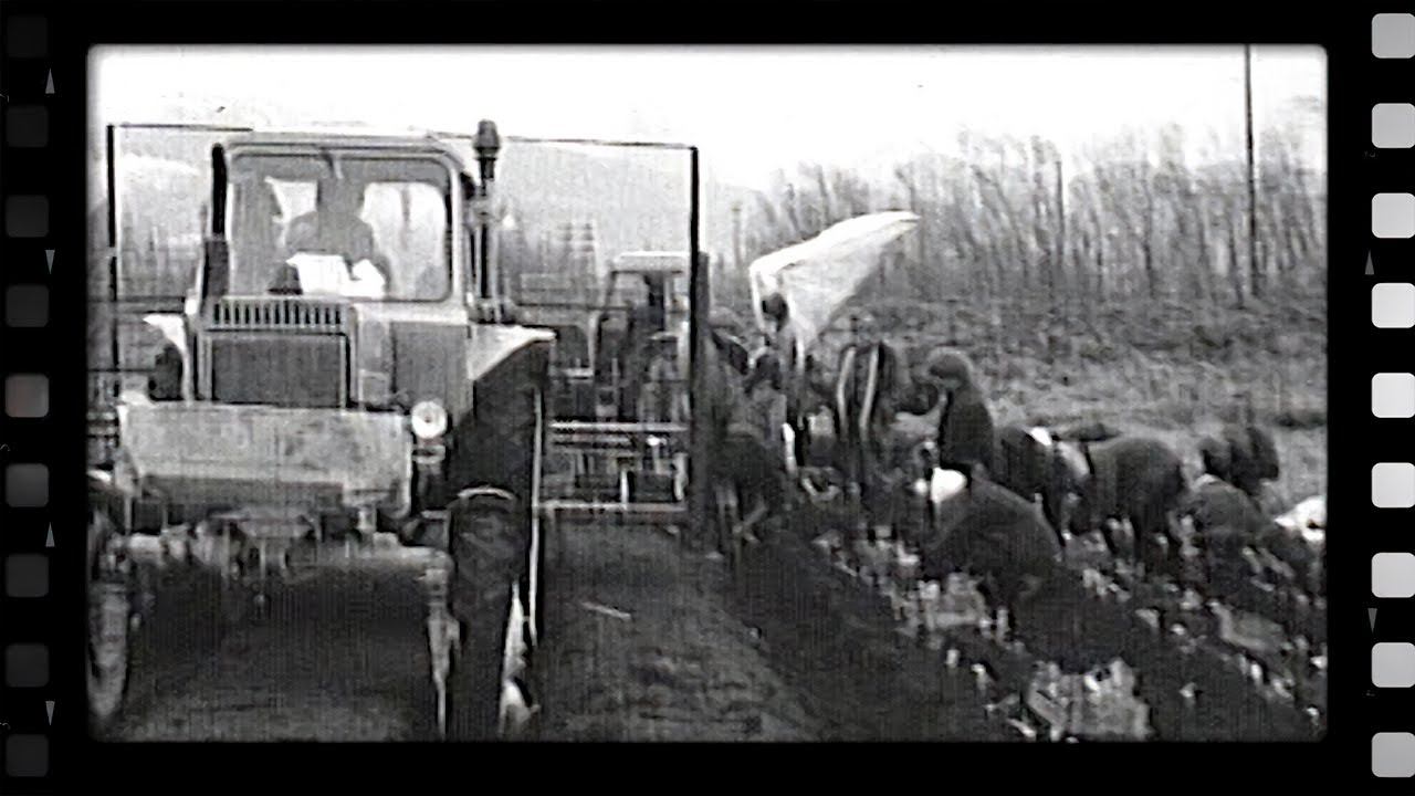 Татьяна Петровская: "Тепличный" - мой маяк, мое лучшее предприятие... смотреть онлайн