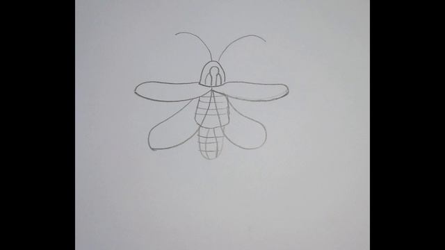 ✏️Corso di disegno per bambini: la lucciola - Stefi64 смотреть онлайн