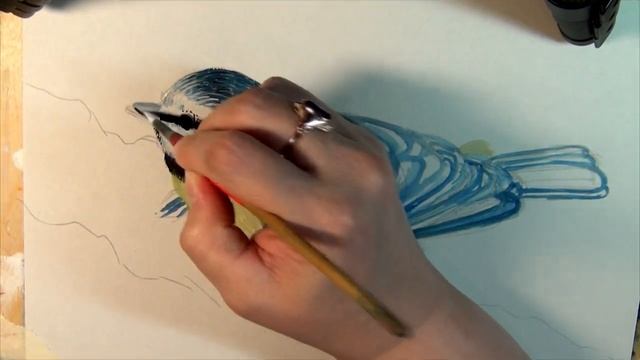 Птичка Синичка #акварель #птицы #синичка смотреть онлайн