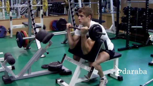 Сгибание рук на скамье Скотта (штанга) смотреть онлайн