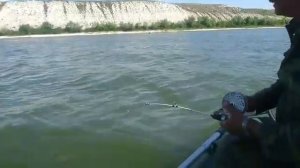 Сазан на 3 кг 200 гр. Дон. Песковатка.