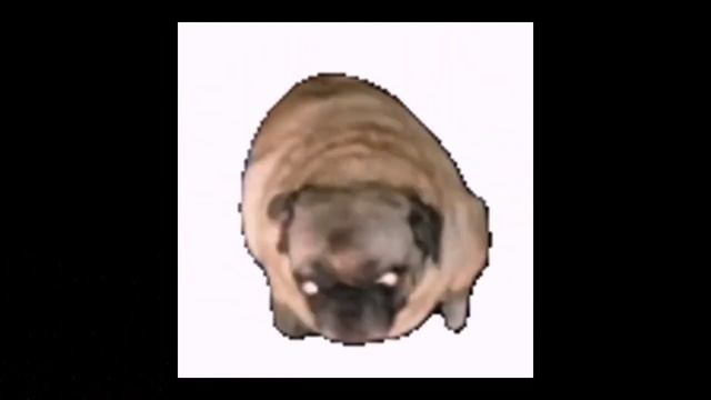 salami salami gulp gulp sped up version смотреть онлайн