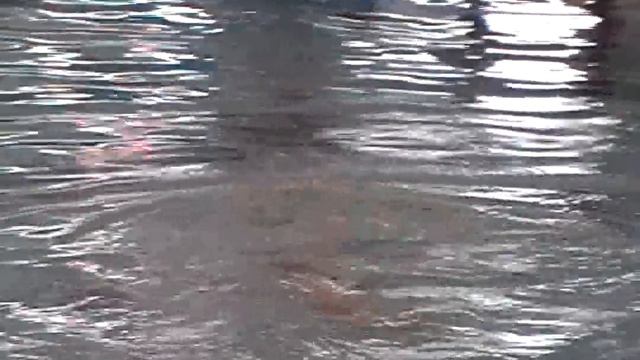 Solo-final (7, JR) / Solo finale (7, JR) - Silver/Argent смотреть онлайн