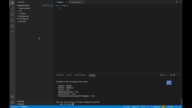 NodeJS and Typescript Setup (Basic) смотреть онлайн