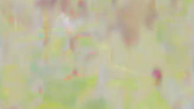Моя дача-82(7) (8.06.16)
