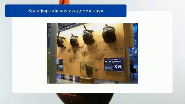Калифорнийская академия наук обзор смотреть онлайн