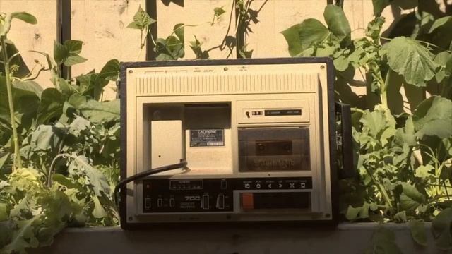 Masker - Zugzwang (Califona Sunset) смотреть онлайн