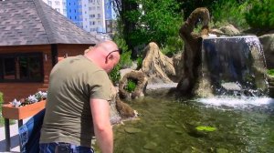 Главный секрет чистой воды (#LANDSCAPE) в пруду с водопадом! (The main secret of clean water)