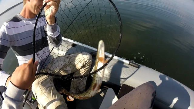 Щука на отводной. Рыбалка и активный отдых! смотреть онлайн