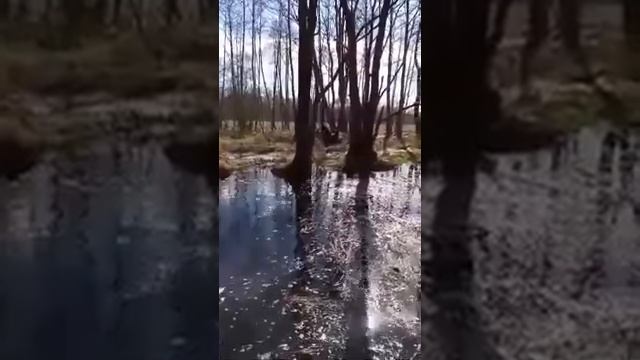 Linhai 300 4x4 смотреть онлайн