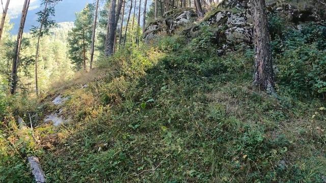 4Кавказ август 2022г Часть 4 Баксанское ущелье ущелье Узункол Поляна, каньон. смотреть онлайн