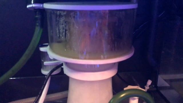 Red Sea Reefer 450 K2 Skimmer update смотреть онлайн