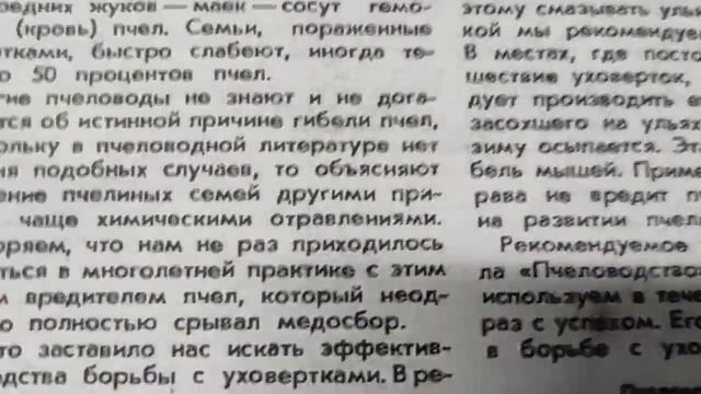 Уховёртка - вредитель пчелиной колонии!!! смотреть онлайн
