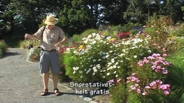 Stødige filmscener ved bruk av stativ смотреть онлайн