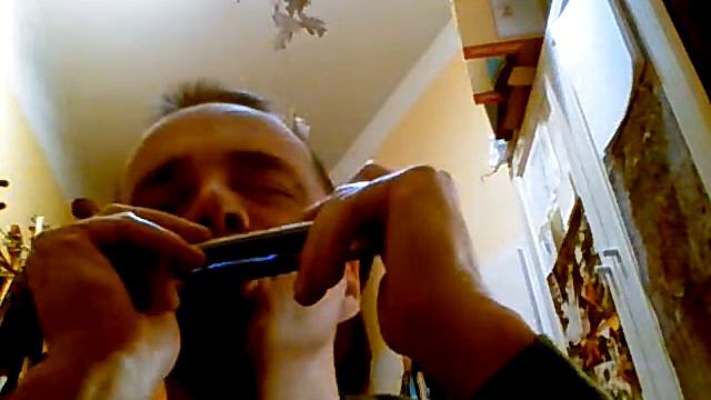D blues Tombo slideless chromatic harmonica смотреть онлайн