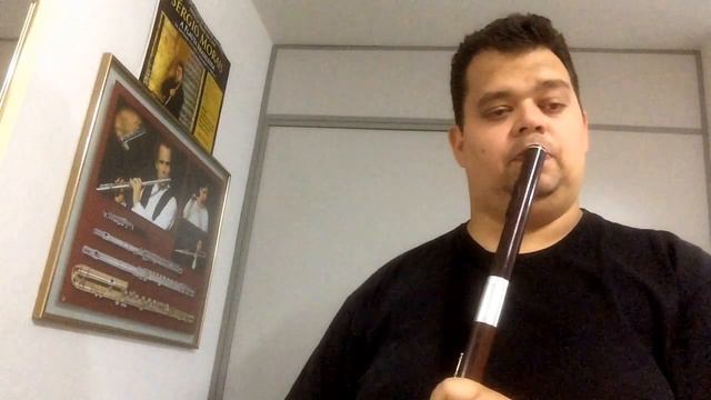 Irlandaise (Claude Bolling) - Sergio Morais смотреть онлайн